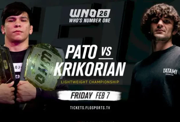 apercu-complet-de-la-carte-de-whos-number-one-26